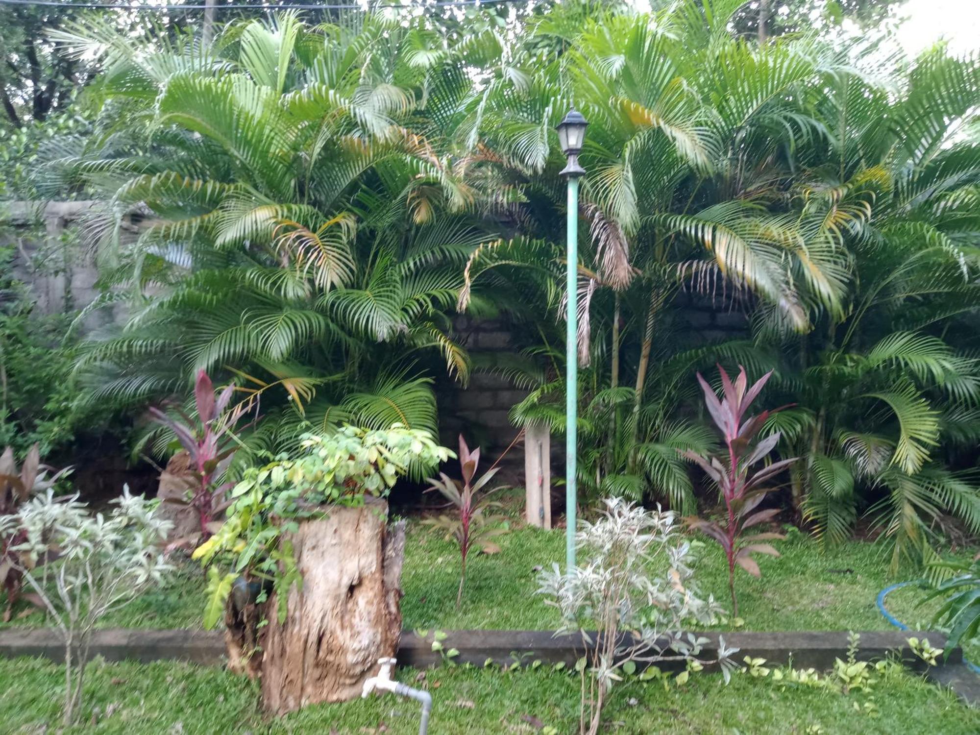Kithmi Resort Polonnaruwa Exterior photo